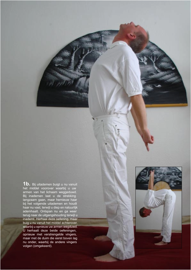 1b.  Bij uitademen buigt u nu vanuit  het middel voorover waarbij u uw  armen van het lichaam weggeduwd.  Bij inademen laat u de strekking  langzaam gaan, maar hernieuw haar  bij het volgende uitademen en houdt  haar nu vast, terwijl u diep en natuurlijk  ademhaalt. Ontspan nu en ga weer  terug naar de uitgangshouding terwijl u  inademt. Herhaal deze oefening, maar  buig u nu vanuit het middel achterover,  waarbij u opnieuw uw armen wegduwd.  U herhaalt deze beide oefeningen,  opnieuw met verstrengelde vingers,  maar met de duim die eerst boven lag  nu onder, waarbij de andere vingers  volgen (omgekeerd).