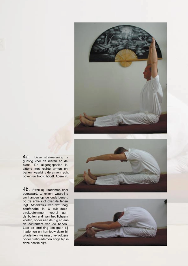 4a.  Deze strekoefening is  gunstig voor de nieren en de  blaas. De uitgangspositie is  zittend met rechte armen en  benen, waarbij u de armen recht  boven uw hoofd houdt. Adem in.   4b.  Strek bij uitademen door  voorwaarts te reiken, waarbij u  uw handen op de onderbenen,  op de enkels of over de tenen  legt. Afhankelijk van wat nog  comfortabel is. U zult deze  strekoefeningen vooral aan  de buitenrand van het lichaam  voelen, onder aan de rug en aan  de achterkant van de benen.  Laat de strekking iets gaan bij  inademen en hernieuw deze bij  uitademen, waarna u vervolgens  onder rustig ademen enige tijd in  deze positie blijft.